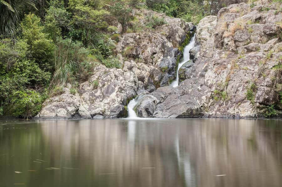 Auckland Waterfall Tour - The guide can shape the whole day