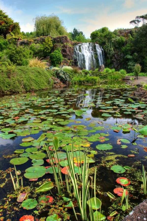 Auckland Waterfall Tour - Hunua Falls brings the big view