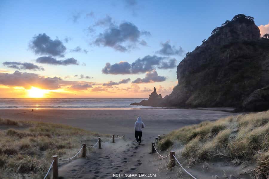 Auckland: West Coast Discovery - Leaving Auckland CBD for the western hills