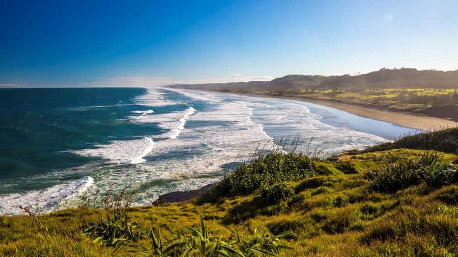 Auckland: West Coast Discovery - Arataki Visitor Centre and the Waitakere Ranges