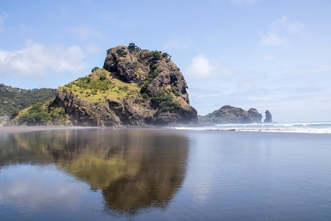 Auckland West Coast Half-Day Private Tour - A private SUV changes the feel of the outing