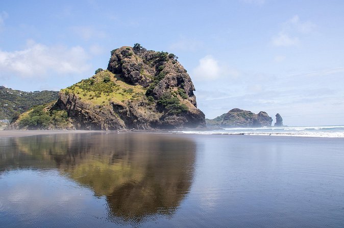 Auckland West Coast Half-Day Private Tour - Is $176.27 per person good value?