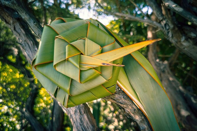 Auckland West Coast Half-Day Private Tour - Practical details before you reserve