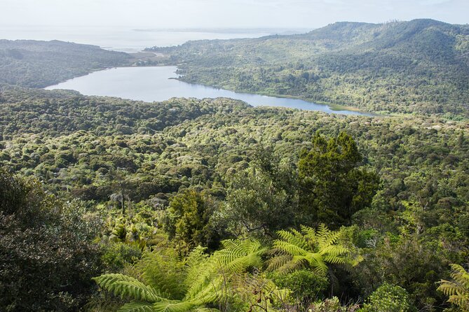 Auckland West Coast Half-Day Private Tour - Arataki Visitor Centre and the first 30 minutes
