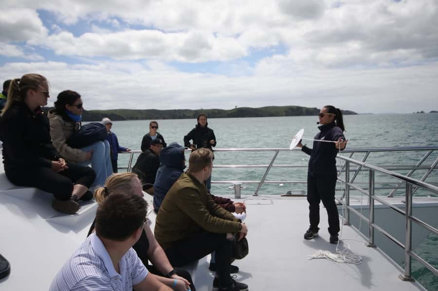 Auckland: Whale and Dolphin Watching Half-Day Eco Cruise - Leaving Auckland from the Eastern Viaduct