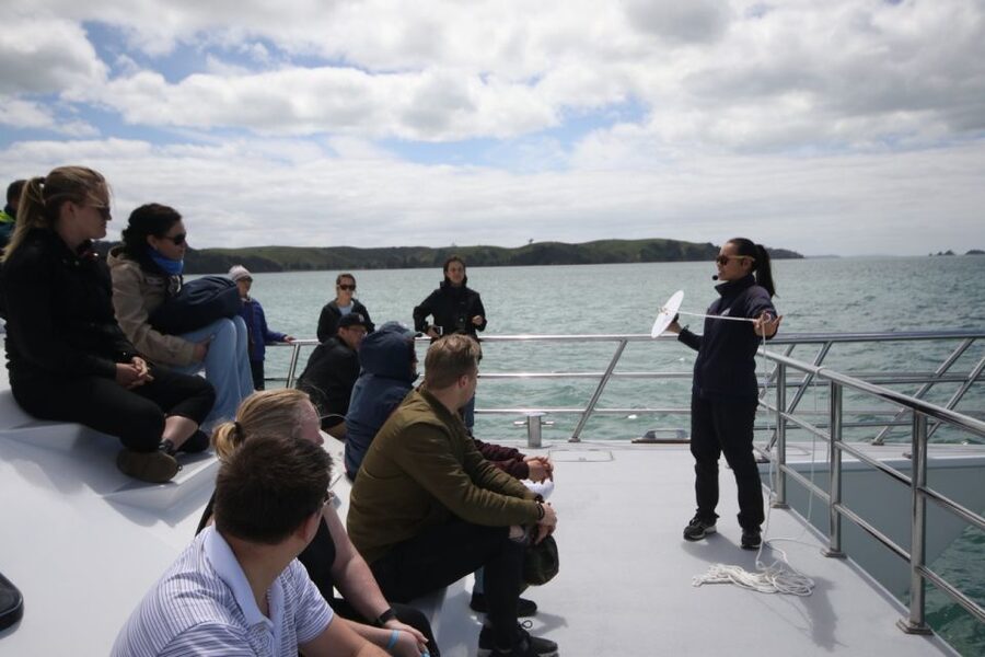 Auckland: Whale and Dolphin Watching Half-Day Eco Cruise - Marine science gives the cruise more purpose