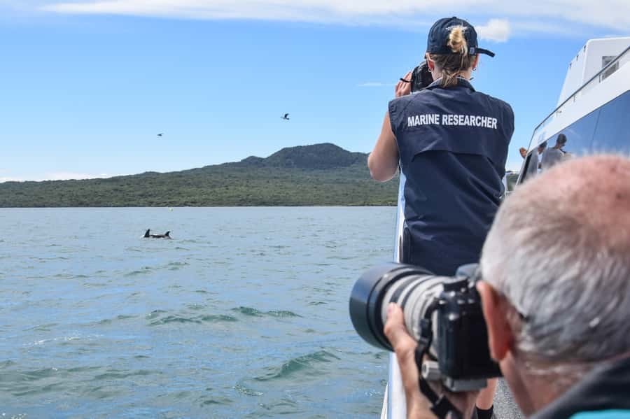 Auckland: Whale and Dolphin Watching Half-Day Eco Cruise - Who will enjoy this Auckland cruise most?