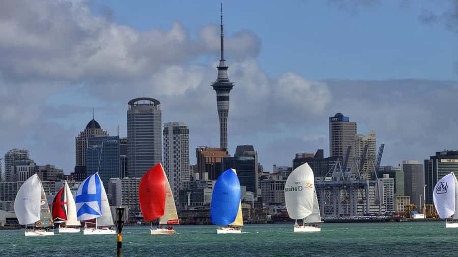 Auckland: Wild West Coast, Black Sand Beaches Tour inc Lunch - Muriwai Beach brings the raw edge