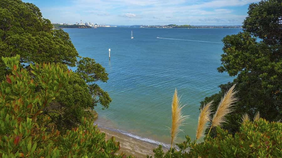 Auckland: Wild West Coast, Black Sand Beaches Tour inc Lunch - Crossing back to the city makes the route feel varied