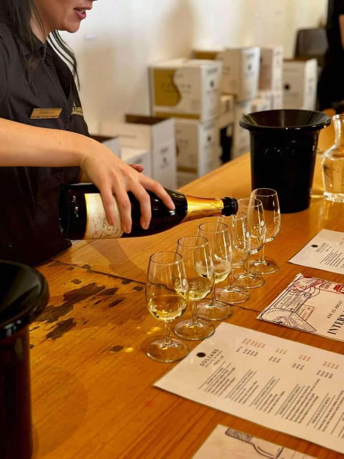 Auckland: Wine region tour with tastings and gourmet lunch - Leaving Auckland across the Harbour Bridge