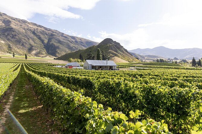 Award Winning Premium Wine Tour Queenstown Tasting at 4 Wineries - Why This Queenstown Wine Tour Works