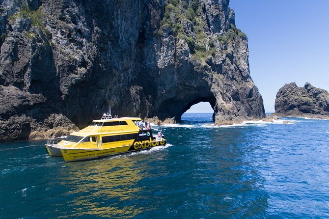 Bay of Island Day Tour with Hole in the rock cruise from Auckland - Key points at a glance