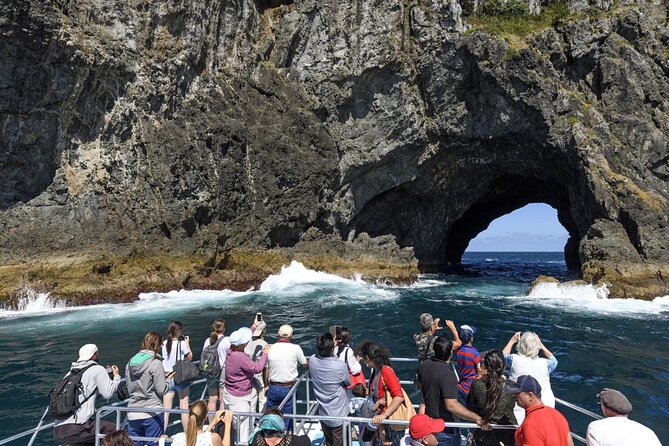 Bay of Island Day Tour with Hole in the rock cruise from Auckland - Auckland to Paihia: a very early start