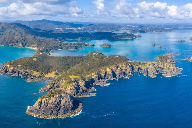 Bay of Island Day Tour with Hole in the rock cruise from Auckland - Dolphin spotting without false promises