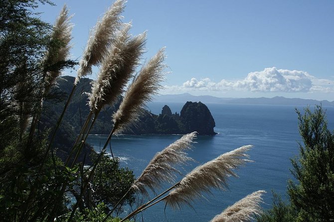 Bay of Islands 2-Day Small Group Tour & Cruise from Auckland - Paihia after a long first day