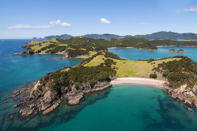 Bay of Islands 2-Day Small Group Tour & Cruise from Auckland - Auckland to the Kauri Museum in Matakohe