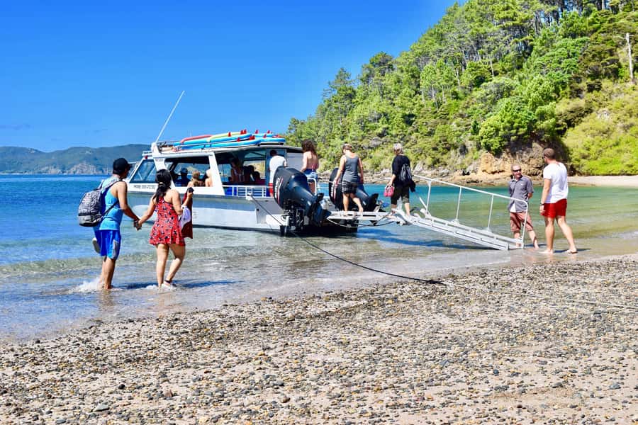 Bay of Islands: 4.5 Hour Day Cruise and Island Getaway Tour - Key points at a glance