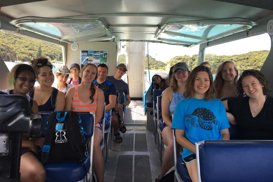 Bay of Islands: 4.5 Hour Day Cruise and Island Getaway Tour - Roberton Island and the 360-degree view