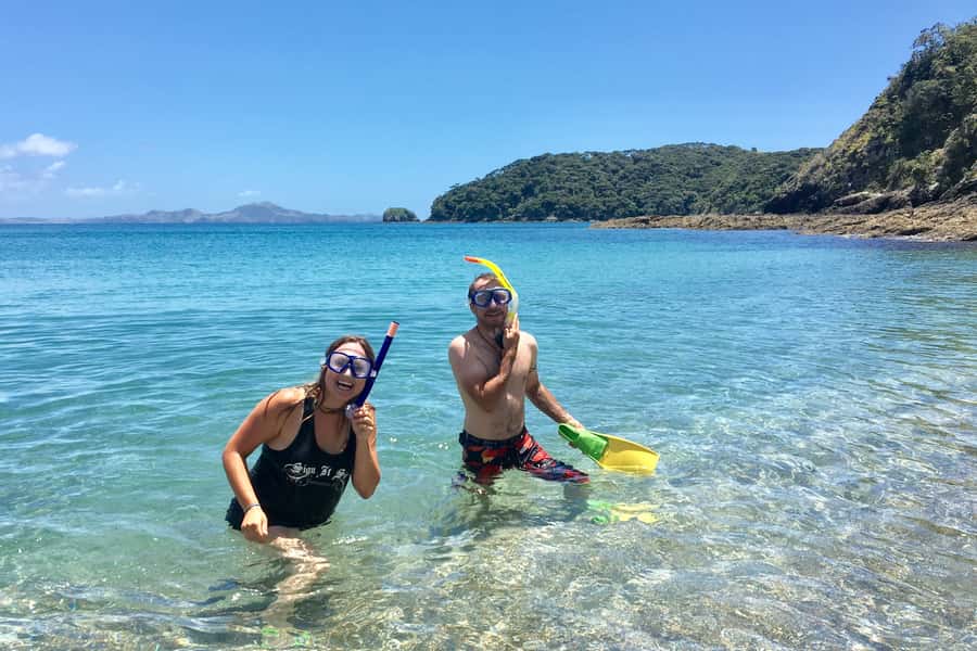 Bay of Islands: 4.5 Hour Day Cruise and Island Getaway Tour - The Hole in the Rock and Cape Brett