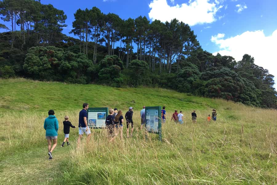 Bay of Islands: 4.5 Hour Day Cruise and Island Getaway Tour - Wildlife along the route