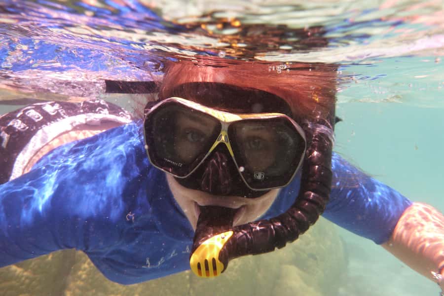 Bay of Islands: 4.5 Hour Day Cruise and Island Getaway Tour - Food, facilities, and what to pack