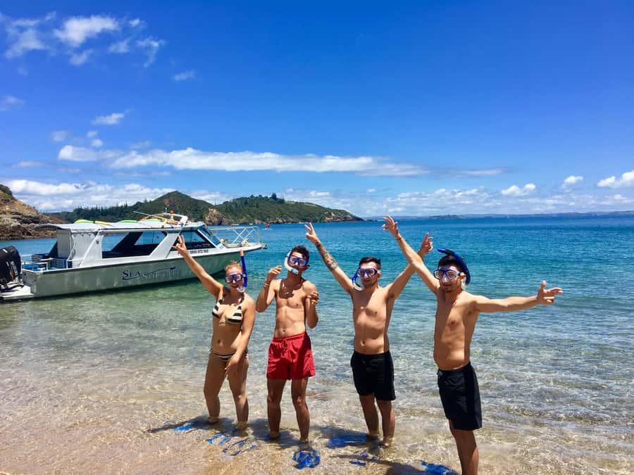 Bay of Islands: 4.5 Hour Day Cruise and Island Getaway Tour - Setting out among 144 islands