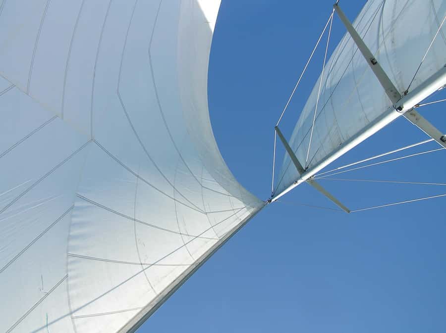 Bay of Islands: Awesome Day Sailing Tour with Island Stop - The details that matter most