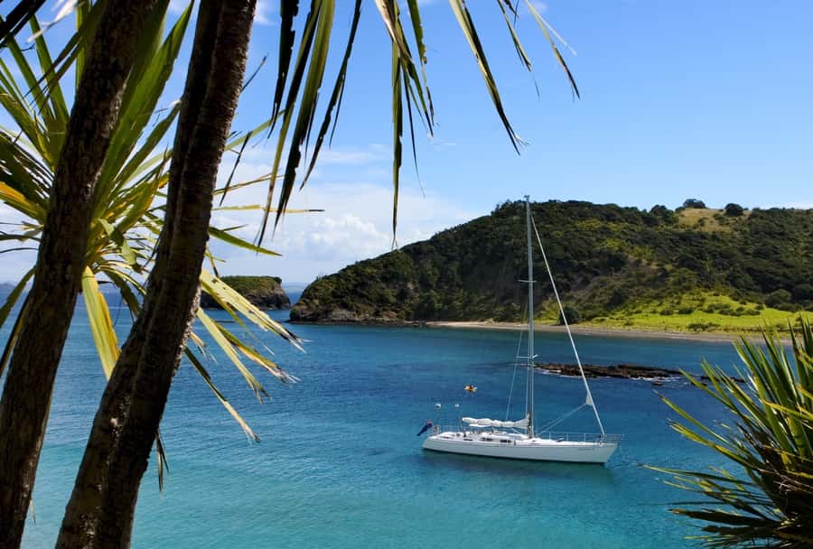 Bay of Islands: Awesome Day Sailing Tour with Island Stop - Starting at Paihia Wharf