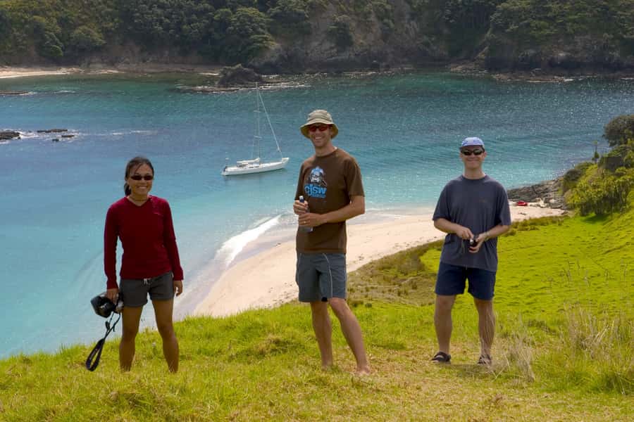 Bay of Islands: Awesome Day Sailing Tour with Island Stop - Wildlife without a guarantee