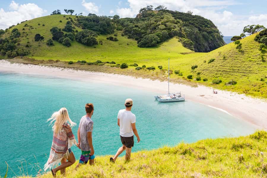 Bay of Islands: Catamaran Sail, Wildlife Island & Lunch - What makes this Bay of Islands sailing trip special
