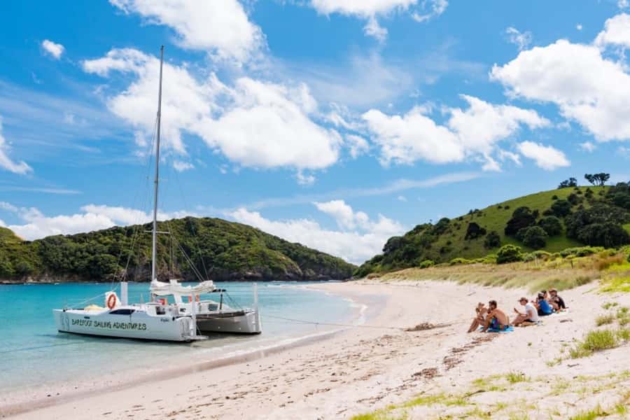 Bay of Islands: Catamaran Sail, Wildlife Island & Lunch - Should you book Barefoot Sailing Adventures?