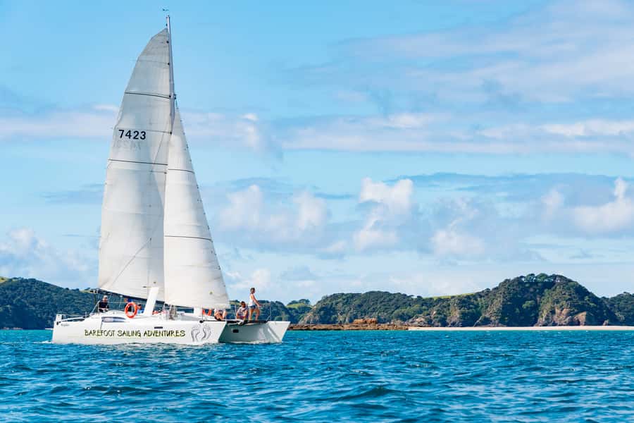 Bay of Islands: Catamaran Sail, Wildlife Island & Lunch - From Paihia Beach to open water