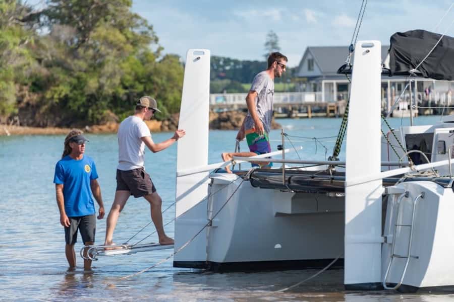 Bay of Islands: Catamaran Sail, Wildlife Island & Lunch - The wildlife sanctuary island stop