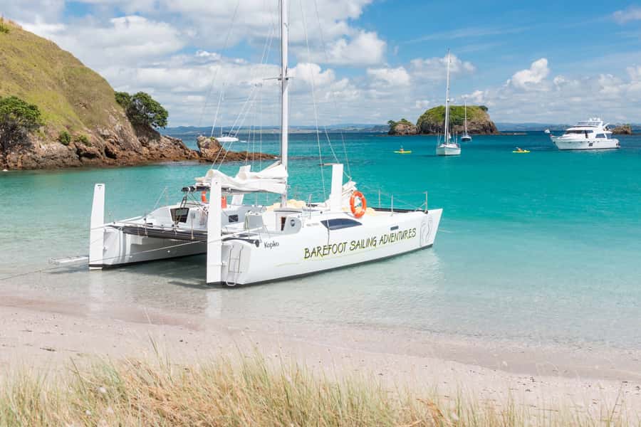 Bay of Islands: Catamaran Sail, Wildlife Island & Lunch - Snorkeling, paddleboarding, or doing very little