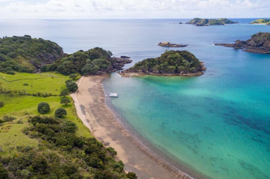 Bay of Islands: Catamaran Sail, Wildlife Island & Lunch - The return sail and the value of the day