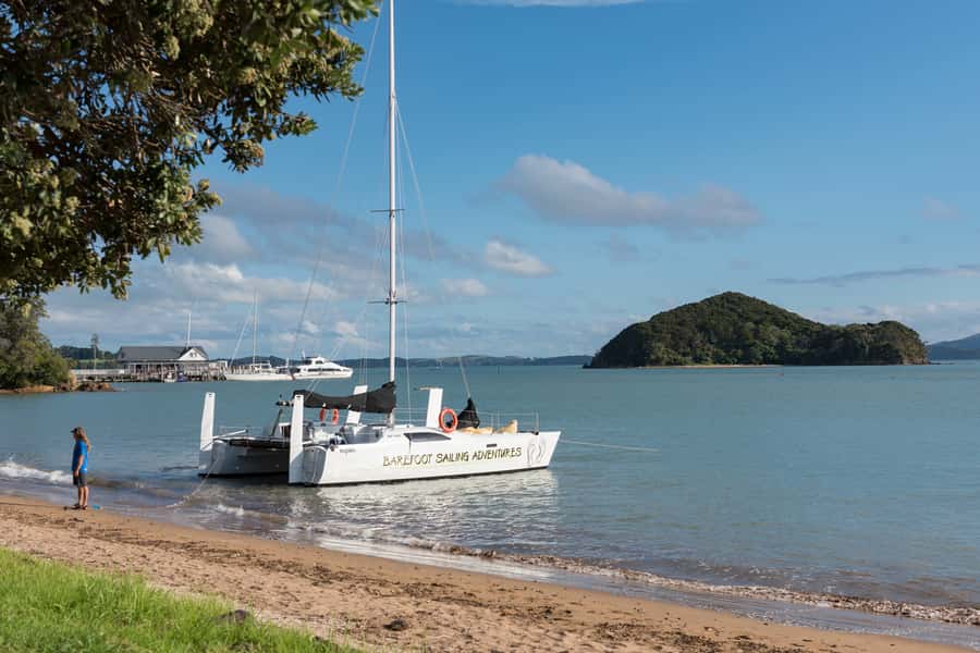 Bay of Islands: Catamaran Sail, Wildlife Island & Lunch - Choosing between the helm and the beanbags