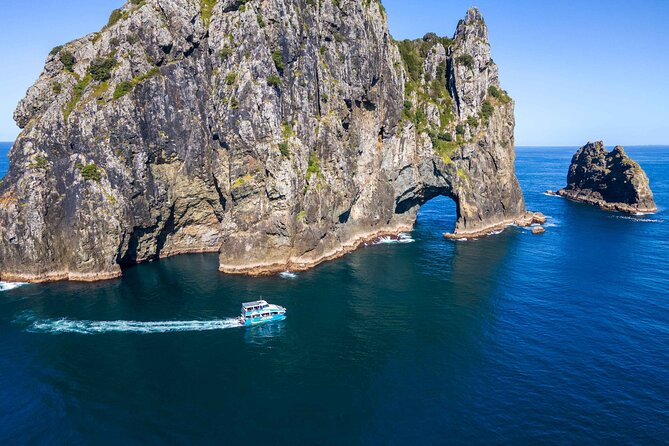 Bay of Islands Cruise & Island Tour - Snorkel, Hike,Swim,Wildlife - Key things to know before you book