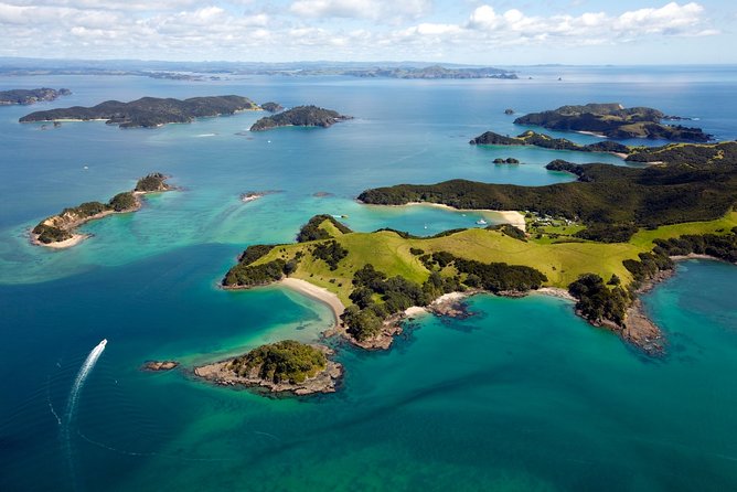 Bay of Islands Cruise & Island Tour - Snorkel, Hike,Swim,Wildlife - Your flexible second island stop