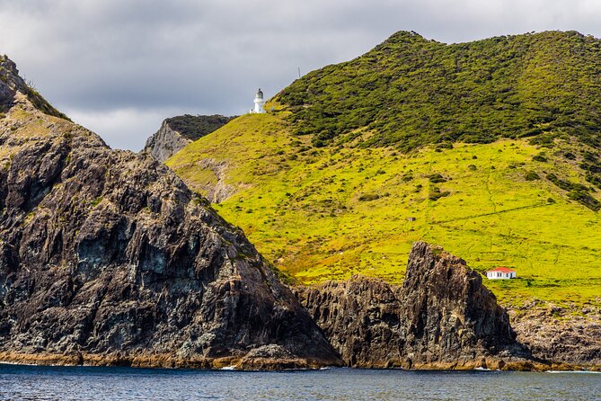 Bay of Islands Cruise & Island Tour - Snorkel, Hike,Swim,Wildlife - Who should book this Bay of Islands tour?