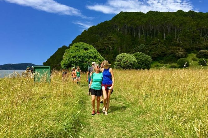 Bay of Islands Cruise & Island Tour - Snorkel, Hike,Swim,Wildlife - Practical booking details and cancellation