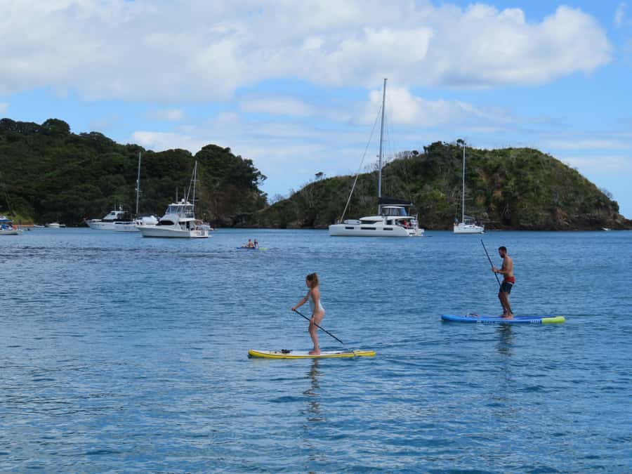 Bay of Islands: Day Sailing Cruise with Island Stop & Lunch - Swimming, snorkeling, and paddleboarding