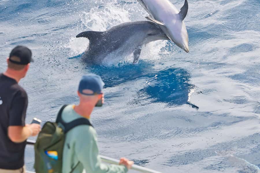 Bay of Islands: Discover the Bay Cruise with Island Lunch - The Hole in the Rock passage