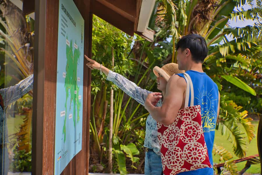 Bay of Islands: Discover the Bay Cruise with Island Lunch - Booking and practical tips