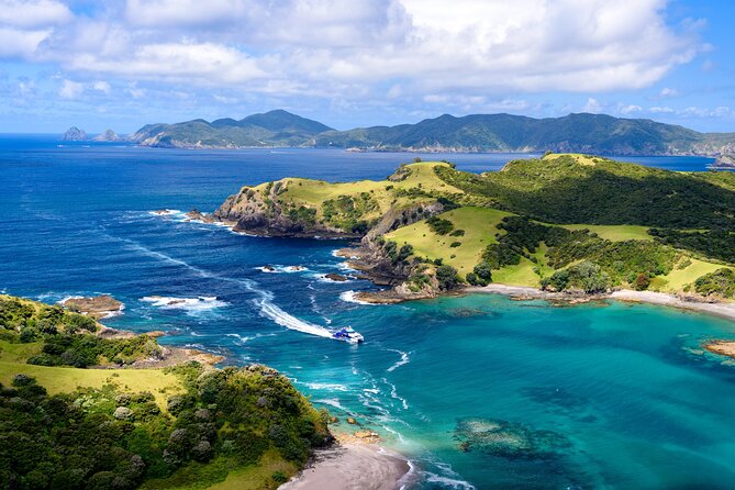 Bay of Islands Discovery Experience from Auckland incl. Hole In The Rock Cruise - Key things to know before booking