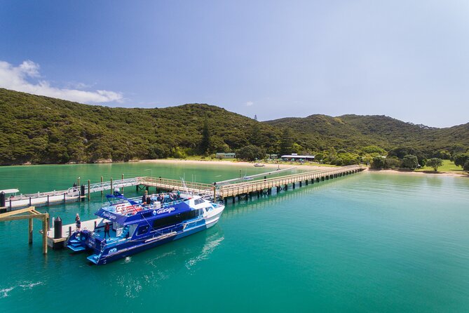 Bay of Islands Discovery Experience from Auckland incl. Hole In The Rock Cruise - Coffee, comfort breaks, and the Hundertwasser toilets