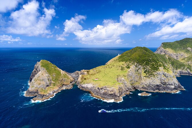 Bay of Islands Discovery Experience from Auckland incl. Hole In The Rock Cruise - Cape Brett and the Hole in the Rock