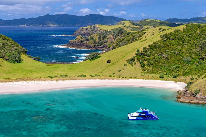 Bay of Islands Explorer Experience Small Group Tour From Auckland - The Hole in the Rock and Cape Brett