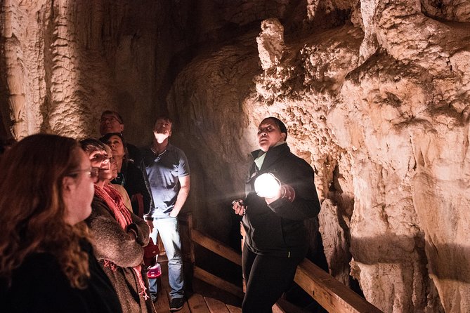 Bay of Islands Glow Worm Caves & Scenic Shore Excursion - Why this Bay of Islands tour works well in five and a half hours