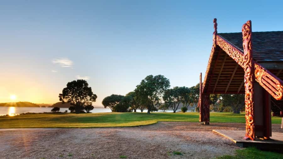 Bay of Islands HOLE IN THE ROCK & WAITANGI TREATY GROUNDS - Why this Auckland day trip works