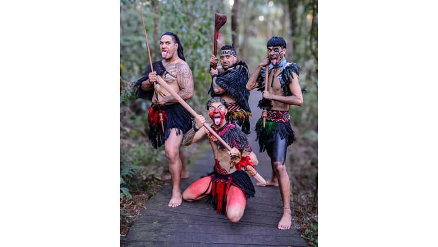 Bay of Islands HOLE IN THE ROCK & WAITANGI TREATY GROUNDS - Who should book this experience?